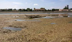 A photo shows an old sunken ship at the sandbanks exposed by the receding waters of the Drava river in Osijek, Croatia, on August 8, 2026. (Photo by MARKO PERKOV/AFP)