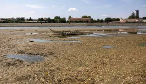 A photo shows an old sunken ship at the sandbanks exposed by the receding waters of the Drava river in Osijek, Croatia, on August 8, 2026. (Photo by MARKO PERKOV/AFP)