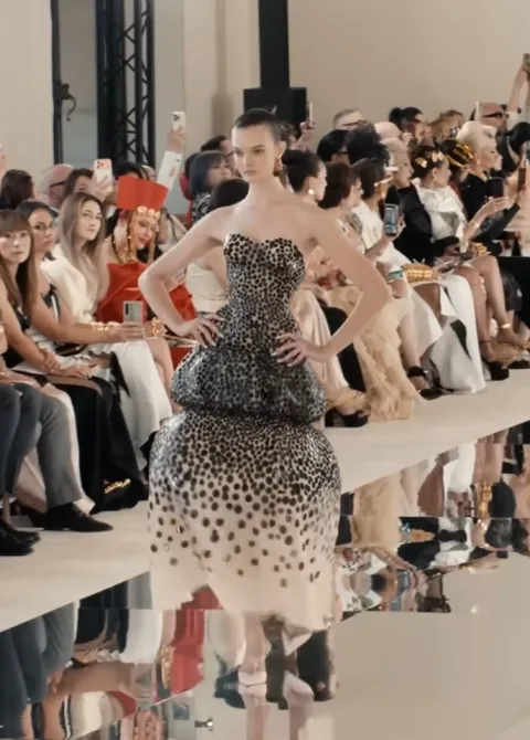 Schiaparelli 2026