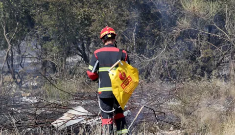 Zadar, 04.08.2026. - Oko 14 sati ponovno se razbuktao požar guste borove &scaron;ume u zadarskom gradskom naselju Novi Bokanjac. Vatra se aktivirala na jednom dijelu, pu&scaron;e jak zapadni vjetar i u pomoć su pozvana četiri kanadera.Foto HINA/Zvonko KUCELIN