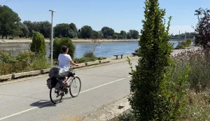 Osijek, 30. 07. 2026., krajobrazna arhitektura, hortikultura, parkovi, promenada, biljke, cvijeće, ljeto, UNIKOMSNIMIO BRUNO JOBST