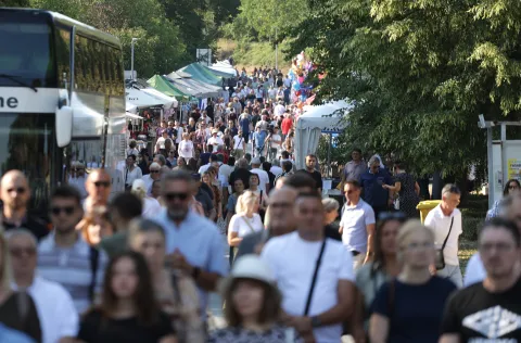 Aljma&scaron;, 15. 08. 2026., Aljma&scaron;, Velika Gospa, sveti&scaron;te, hodoča&scaron;će, SNIMIO BRUNO JOBST