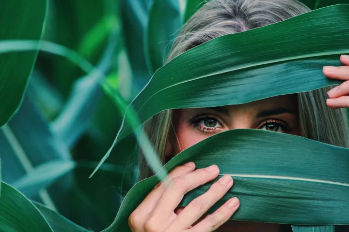 MAGAZIN PEXELSPHOTO BY Noelle Otto