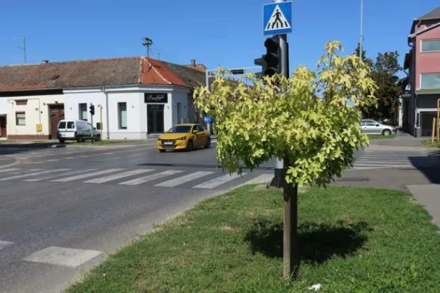 Osijek, 31. 07. 2023, Oblazak stabaal s Alkom Turalijom, Park kralja Petra Kresimira IV. Ulica republike, Gunduliceva ulica, i Sjenjak.snimio GOJKO MITIĆ
