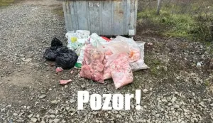 TRNAVA - KONTEJNER, SVINJOKOLJA, ANIMALNI OTPAD, NEPROPISNO ODLAGANJE, PROSINAC 2024.