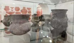 Vinkovački Gradski muzej