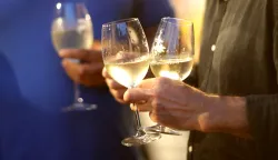 Osijek, 04. 07. 2025., Perivoj kralja Tomislava, Wine vino i umjetnost, večer vina i umjetnosti, vino, ča&scaron;a vina, atmosfera, ljudi, gužvaSNIMIO BRUNO JOBST