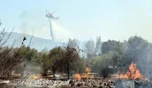 epa11468679 A firefighting helicopter drops water during a wildfire in Patra region, on Peloponnese, Greece, 09 July 2024. Powerful firefighting forces are operating in the area of ​​Gerokomeio, Patras, in order to bring under control the fire which is burning low vegetation and is located near houses. Also, the assistance of aerial firefighting means has been requested, while the Police is on standby, so that, if necessary, residents of the area can be evacuated as a precaution. More than 30 firefighters with a walking department team and 10 vehicles, as well as three aerial vehicles are operating in the area. EPA/GIOTA LOTSARI
