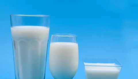 mlijeko i mlječni proizvodi