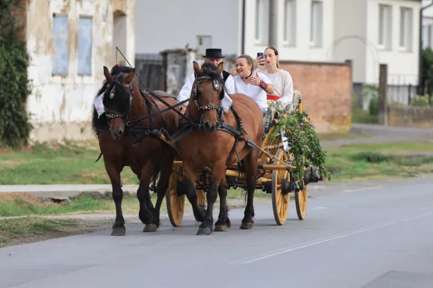 VILJEVO"Od konoplje i lana vreća tkana" kolovoz 2026.