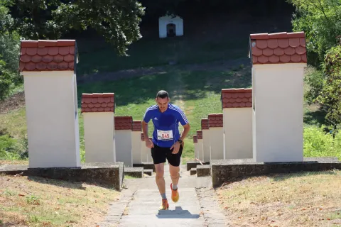 Bapska Trail 7.5, trail utrka