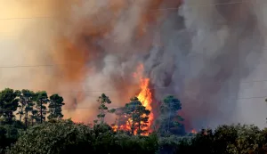 Zerava, 14.08.2026. - Jo&scaron; traje ga&scaron;enje požara otvorenog prostora koji je izbio oko 15 sati između Žerave i Ninskih Stanova, Foto HINA/Zvonko KUCELIN