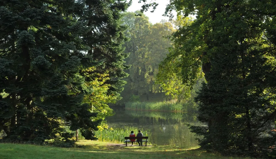 jesen park