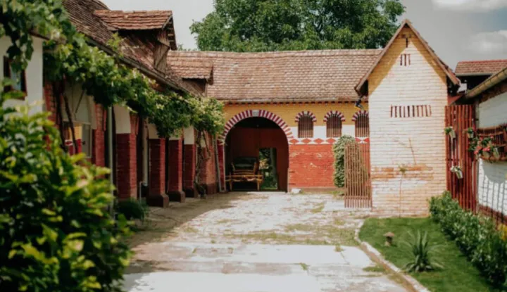 &Scaron;okačka lady, Županja (noseća)