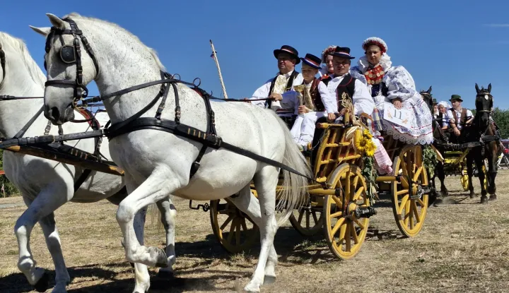 Smotra svatovskih zaprega Beli Manastir, KU Baranja
