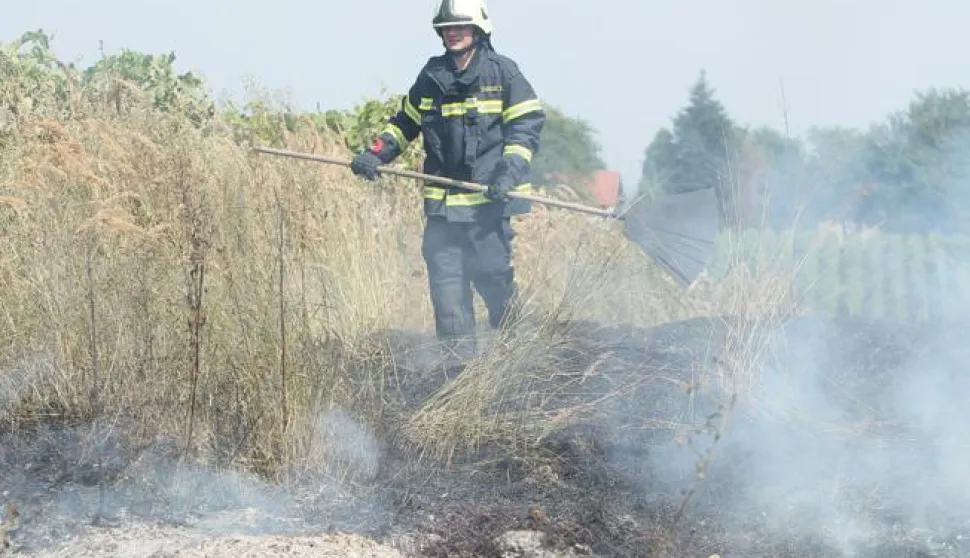 29.07.2013., Koprivnica - Koprivnicki vatrogasci morali su intervenirati u vinogradarskom predjelu Mocile pored Koprivnice zbog neodgovornog vlasnika parcele koju nije redovito kosio, nego je nakon upozorenja komunalnog redara da zbog prigovaranja susjeda mora ukloniti sikaru zapalio korov. Pozar je izmaknuo kontroli i unistio dijelove vinograda uz parcelu. Photo: Marijan Susenj/PIXSELL