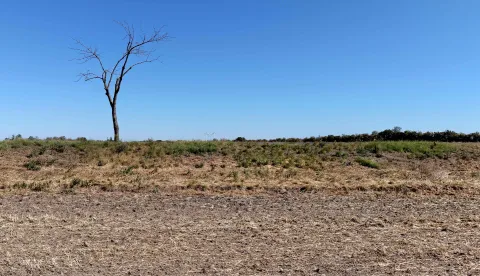 View taken on August 12, 2026 in Leopoldsdorf im Marchfelde, Austria, shows a lone dry tree next to dried-out fields. Much of Europe is bracing for yet another scorching heatwave following periods of record drought that have driven rivers to historic lows, ignited historic forest fires and contributed to thousands of deaths.Unusually high temperatures were also forecast in the coming days across a number of countries not accustomed to the heat, such as Switzerland, Austria and Hungary. (Photo by HARALD SCHNEIDER/APA/AFP)/Austria OUT