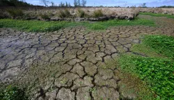 This picture shows a dry water stream in Machecoul, western France, on September 3, 2026. After a summer marked by record-breaking heat waves, wildfires, and drought, the government announced on September 4, 2026 one billion euros in emergency aid to support France?s hard-hit agricultural sector. (Photo by Loic VENANCE/AFP)