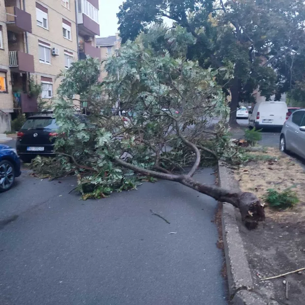 Vijenac Gorana Zobunđije