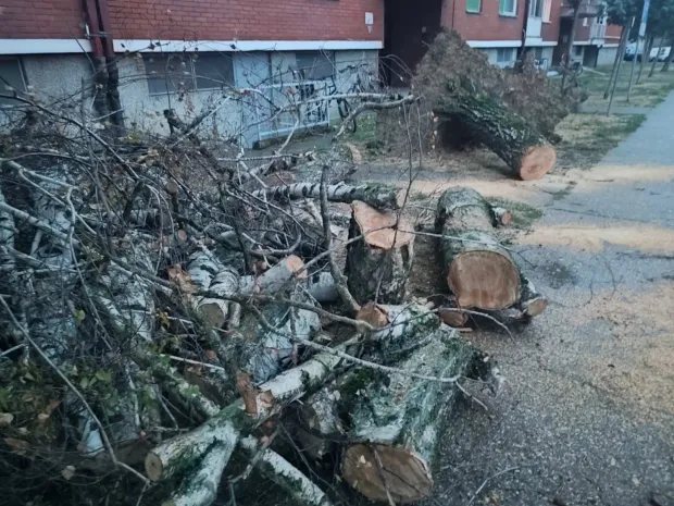 Vijenac Vladimira Nazora