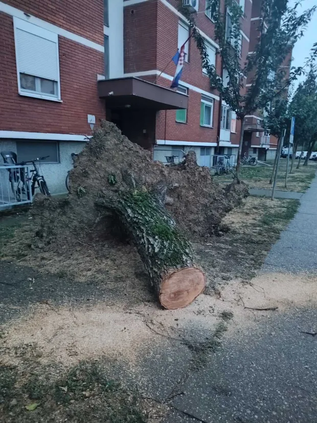 Vijenac Vladimira Nazora