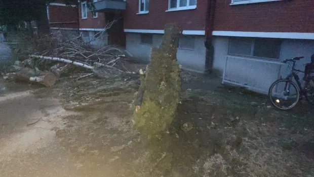 Vijenac Vladimira Nazora
