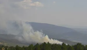 DUBROVNIK, 11. rujna 2026. (Hina) - Pod kontrolom je požar koji je u petak poslijepodne izbio na nepristupačnom terenu kod Trpnja na Pelje&scaron;cu, a na intervenciji je 12 vatrogasaca DVD-ova Trpanj i Kuna, rekao je Hini županijski vatrogasni zapovjednik Stjepan Simović.foto Baldo Marunčić