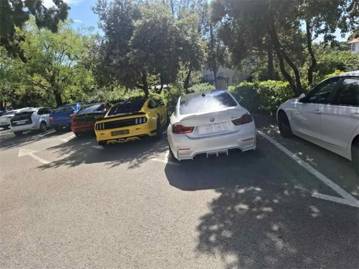 Policija je tijekom vi&scaron;ednevnog neprijavljenog automobilskog okupljanja, tzv. car meetova na Krku i u Rijeci, kontinuirano postupala, utvrđeno je 365 prekr&scaron;aja te je spriječena eskalacija i nije do&scaron;lo do naru&scaron;avanja javnog reda i mira većeg intenziteta, poručili su u nedjelju iz primorsko-goranske policije.