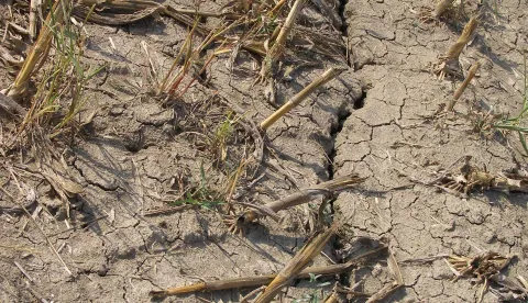 su&scaron;a postrno nakon žetve polje njiva poljoprivreda klimatske promjene