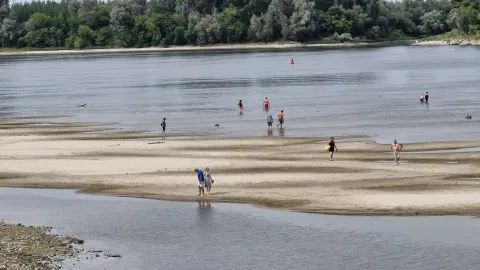 Dunav kod Batine rekordno nizak, 2026.