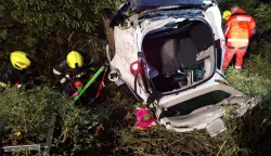 Automobil u kanalu, prevrtanje vozila, živike