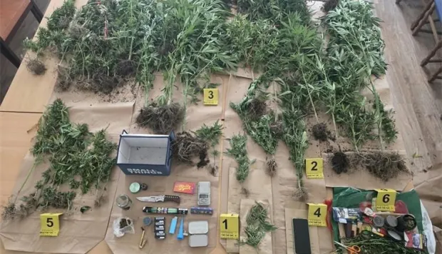 PU osječko-baranjska, Beli&scaron;će, droga, marihuana, indijska konoplje, pribor za drogu, rujan 2026.