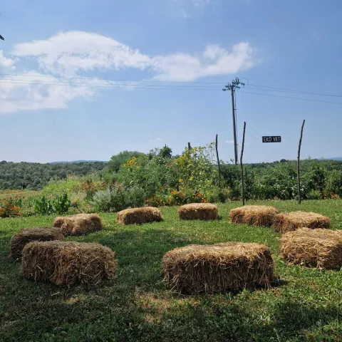Ako se možemo sjetiti mjesta na kojem odmor počinje pri prvom koraku kroz vrata, onda je to AKORD, obiteljsko permakulturno ekolo&scaron;ko imanje Katarine i Igora &Scaron;tavlića, koje nije nastalo kao klasična turistička priča, već pomalo, iz života koji su godinama zajedno gradili oko vrijednosti prema kojima sami žive.