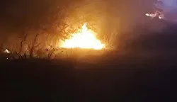 Požar kod Bijelog Brda