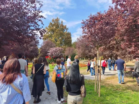 Janes Walk