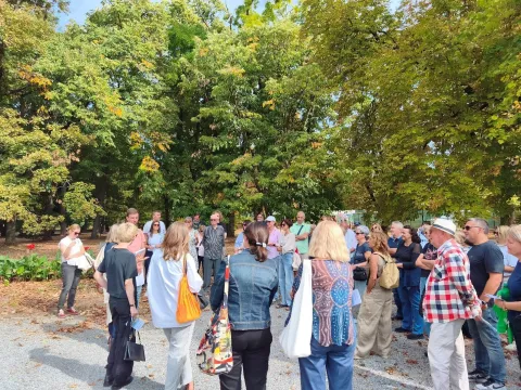 Janes Walk