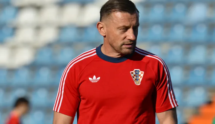 Ivica Olić