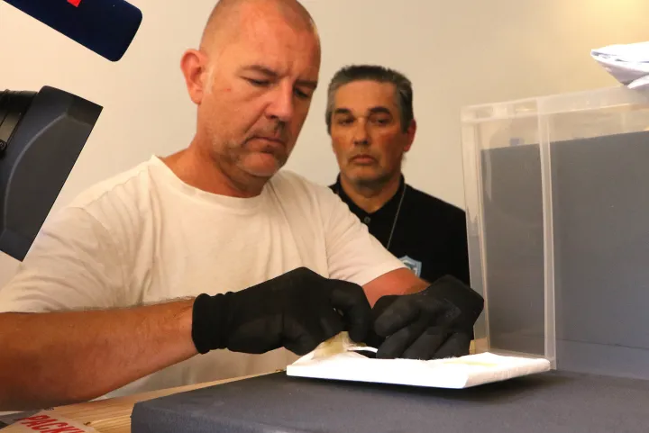 Osijek, 28. 09. 2026, Muzej likovnih umjetnosti Osijek, MLU. Stigla djela Oscara Nemona iz Londona i New Yorka u Osijek, istovar umjetničkih djela...snimio GOJKO MITIĆ