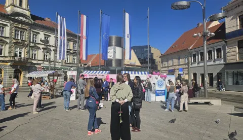 Dan ružičaste vrpce, Osijek, listopad 2026.