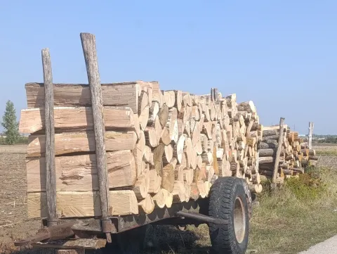 Ogrjevno drvo u Županjirujan 2026.