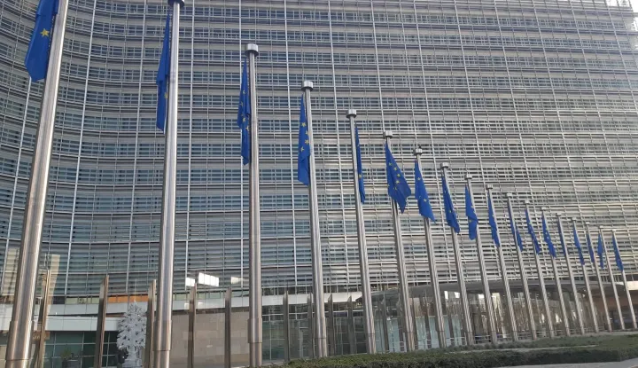 Dan Europe - 