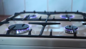plin &scaron;tednjak energija gas