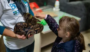 Osijek, 17. 10. 2026., Dan gmazova u ZOO Osijek gmazovi; ZOO; dan gmazova; životinje; posjetitelji; djeca; zoolo&scaron;ki vrt