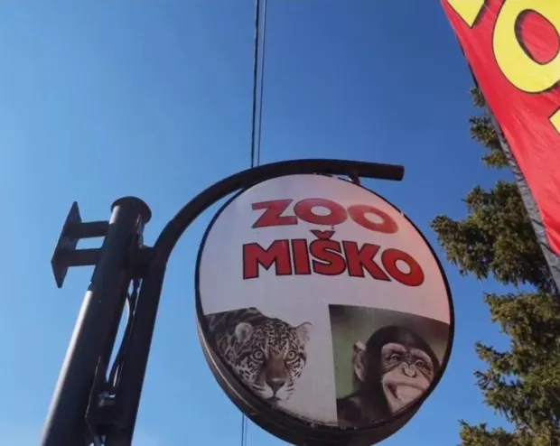 ZOO Mi&scaron;koustupljeno