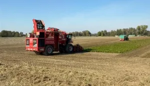 Vađenje repe u OPG-u foto: Ministarstvo poljoprivrede