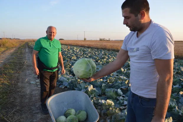 FOTO Darko PEJIĆIlija &Scaron;teko i Vladmir Tolj (bijeloj majiici)