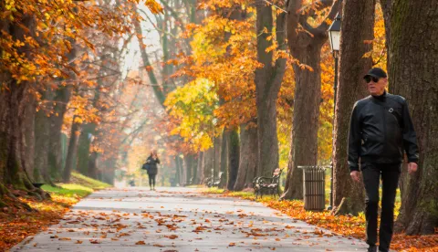 OSIJEK- 26.10.2022., Perivoj kralja Tomislava po mnogim Osječanima slovi za jedan od najljep&scaron;ih parkova u jesen, gdje prolaznici uživaju u &scaron;arenilu boja, slobodnjak.Foto: Andrea Ilakovac