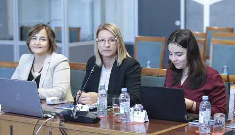 Zagreb, 28,10.2026.- Hrvatski sabor, Zajednička tematska sjednica Odbora za financije i državni proračun, Odbora za europske poslove Odbora za regionalni razvoj i fondove Europske unije, Odbora za gospodarstvo, i Odbora za poljoprivredu. Na fotografiji Ivana Maletić.foto HINA/ Admir BULJUBA&Scaron;IĆ/ abu