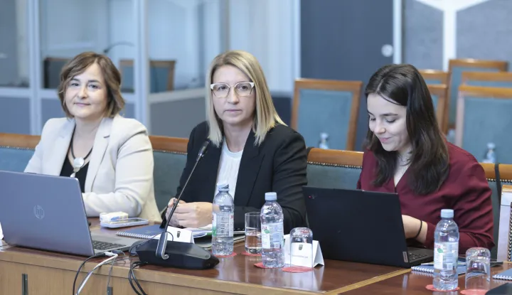 Zagreb, 28,10.2026.- Hrvatski sabor, Zajednička tematska sjednica Odbora za financije i državni proračun, Odbora za europske poslove Odbora za regionalni razvoj i fondove Europske unije, Odbora za gospodarstvo, i Odbora za poljoprivredu. Na fotografiji Ivana Maletić.foto HINA/ Admir BULJUBA&Scaron;IĆ/ abu