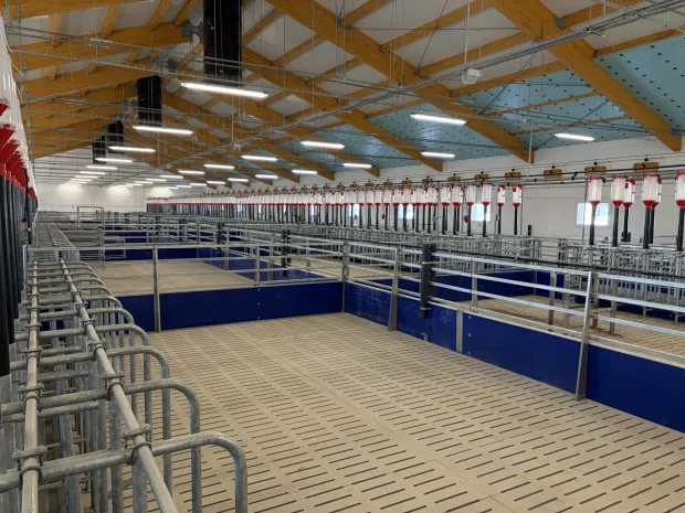 Žito grupa dovr&scaron;ila je drugu fazu izgradnje svinjogojske farme Orlovnjak u okolici Osijeka. Riječ je o investiciji vrijednoj približno osam milijuna eura, a koja je u cijelosti financirana vlastitim sredstvima Žito grupe prikupljenima kroz IPO.